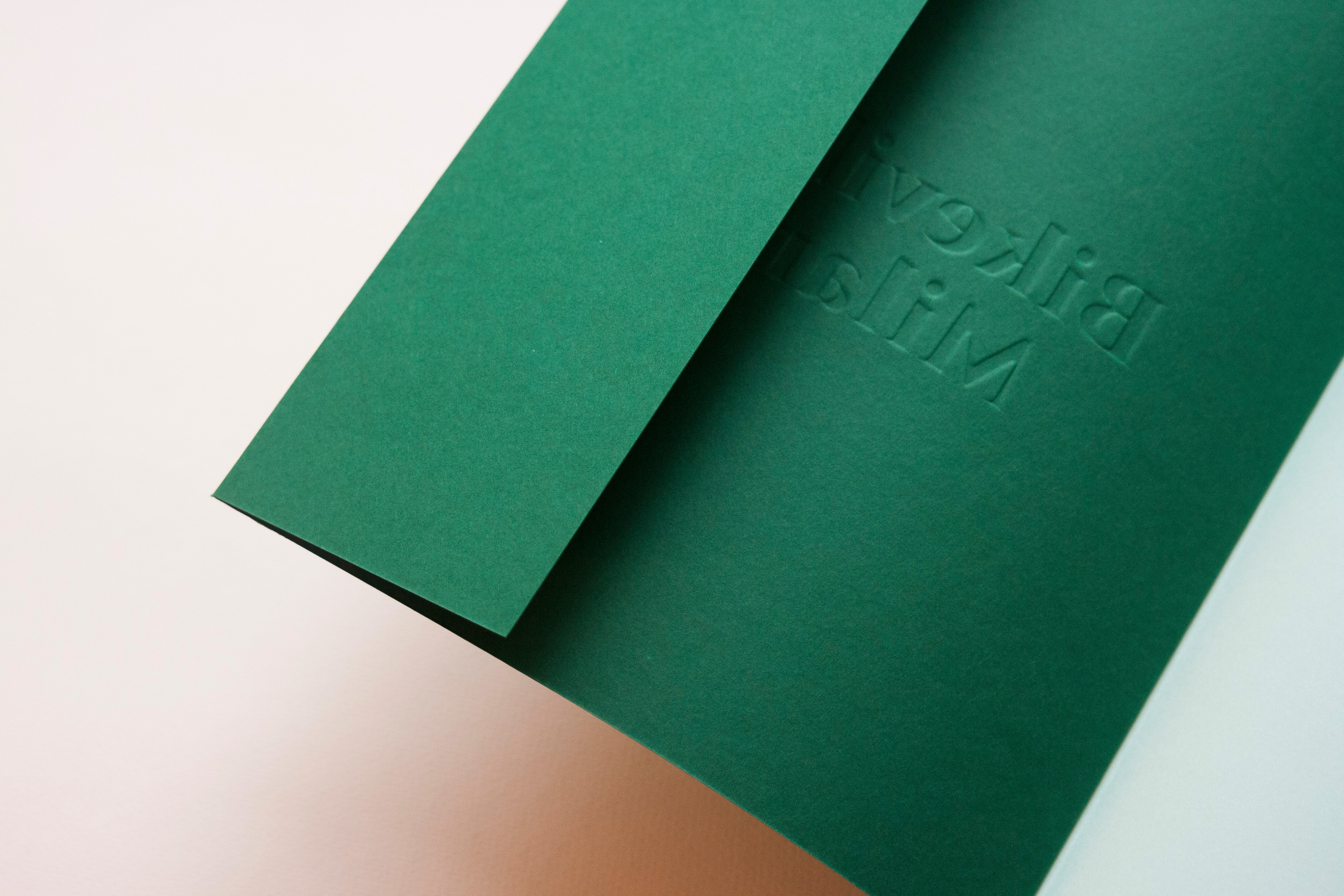 5bd29846489929.5856c6446efe0