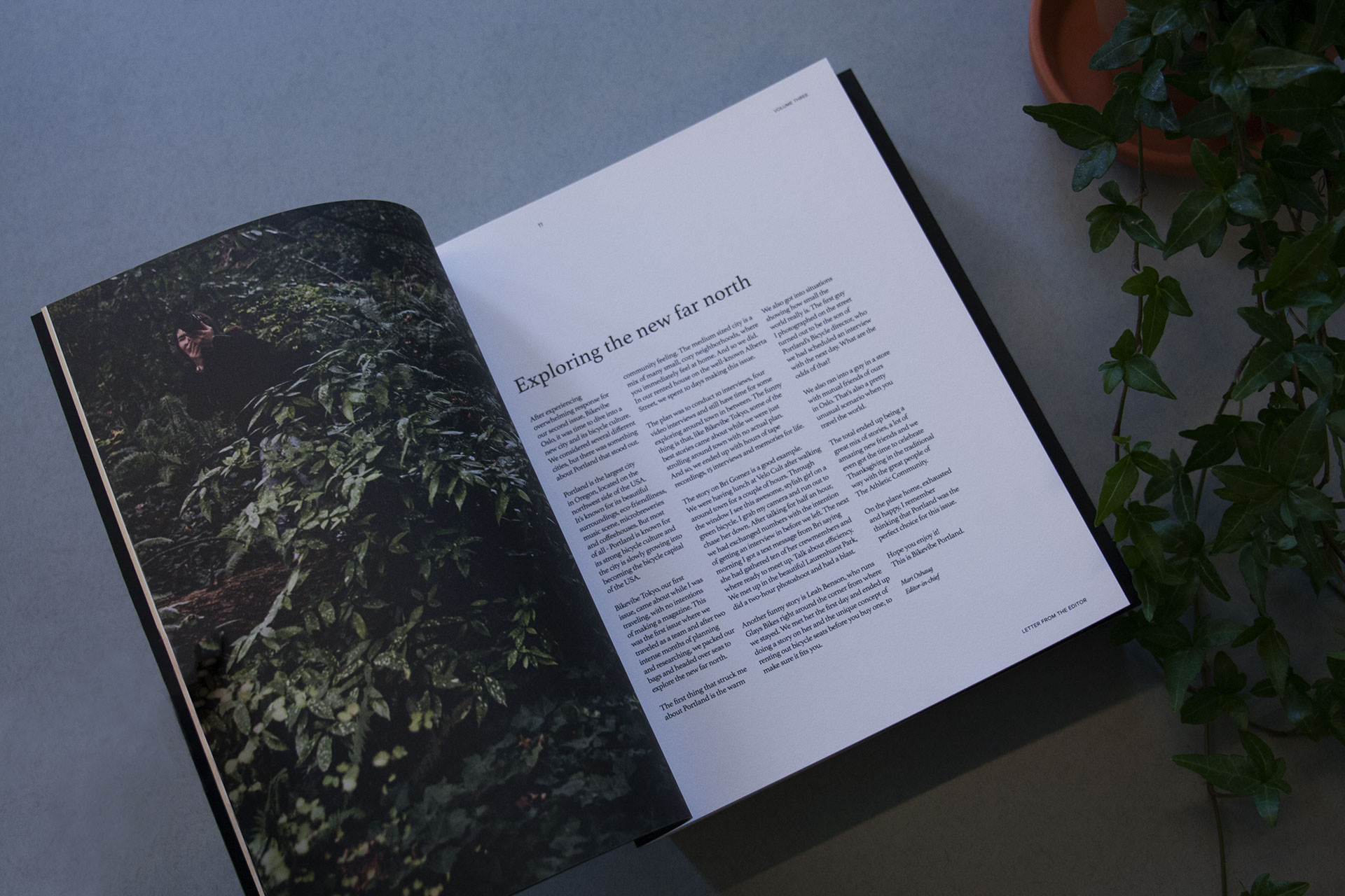 8cdaf835461023.56f87371d9ce7