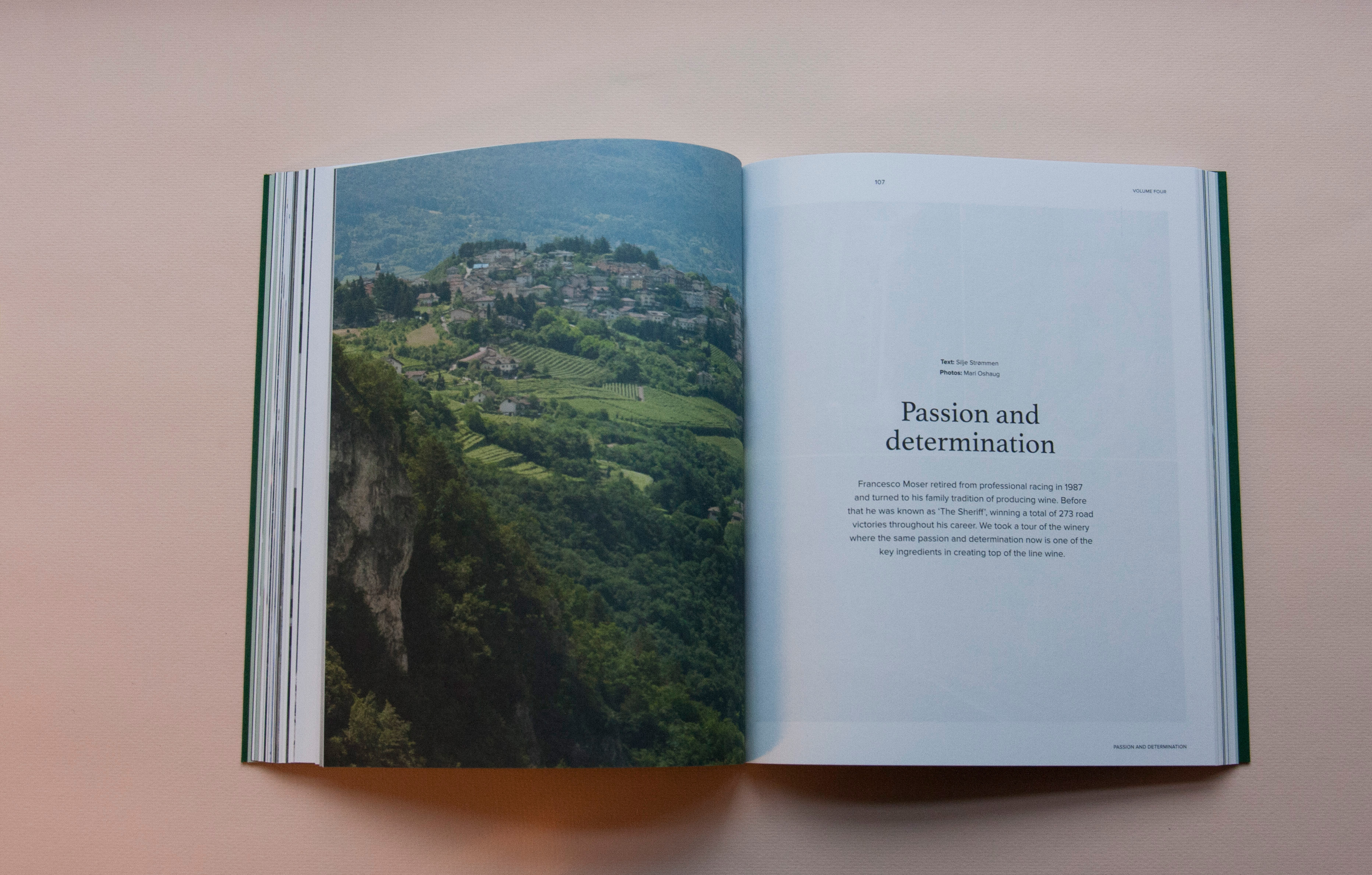 8dc6d746489929.5856c64473ee2