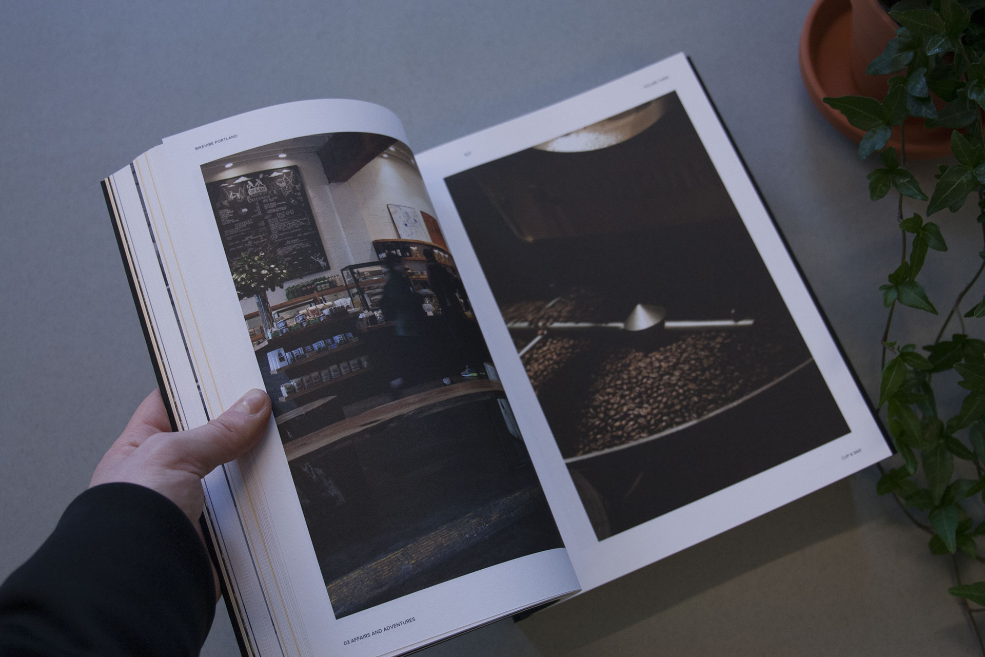 9a3a2a35461023.56f87371dbd42