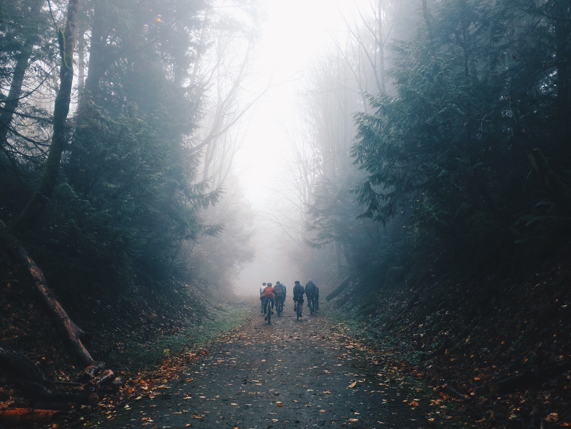 Processed with VSCOcam with hb2 preset