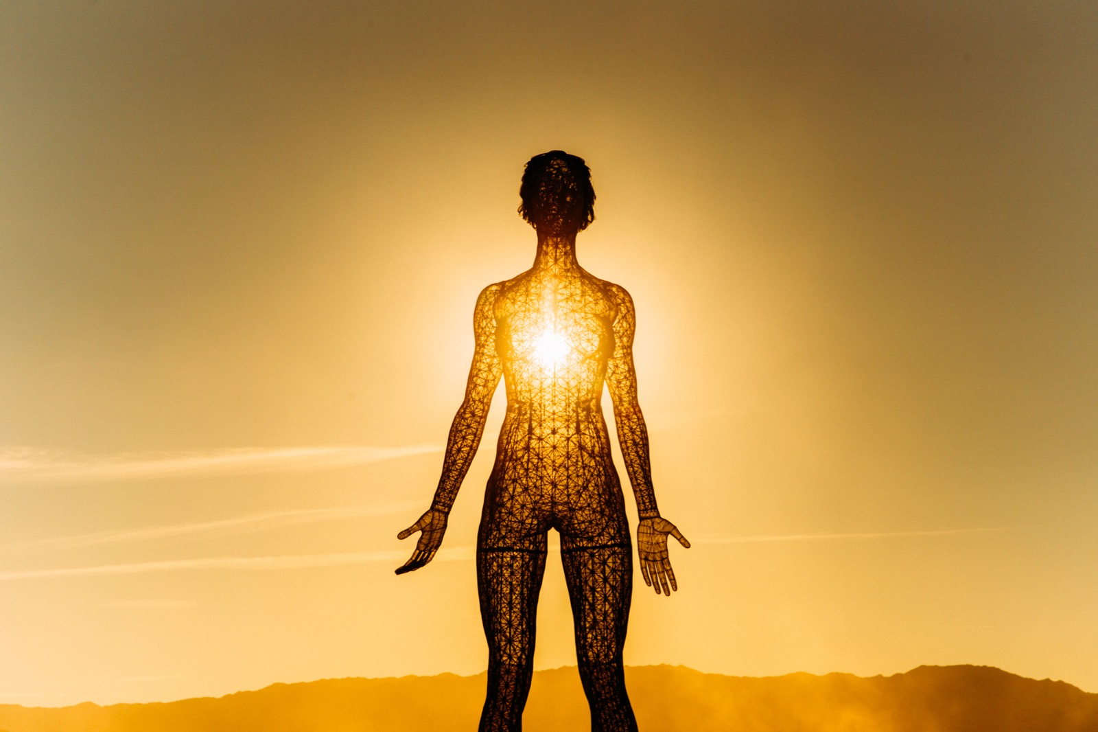 Burning_Man_2015_Galen_Oakes_Art - 16 of 20