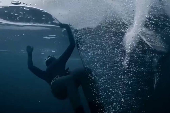 视频：北极冰层50米下的潜水者 创下世界纪录