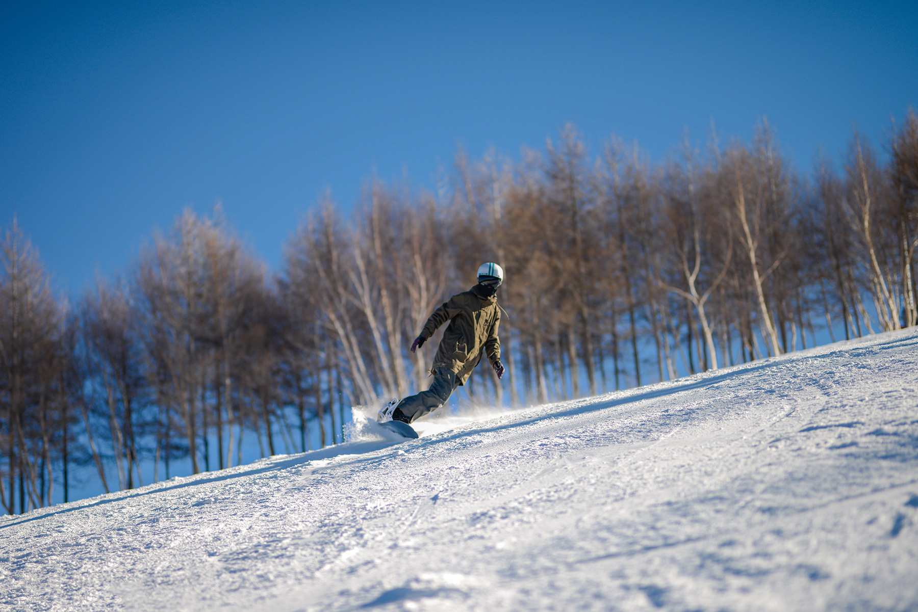 _DSC1620_s