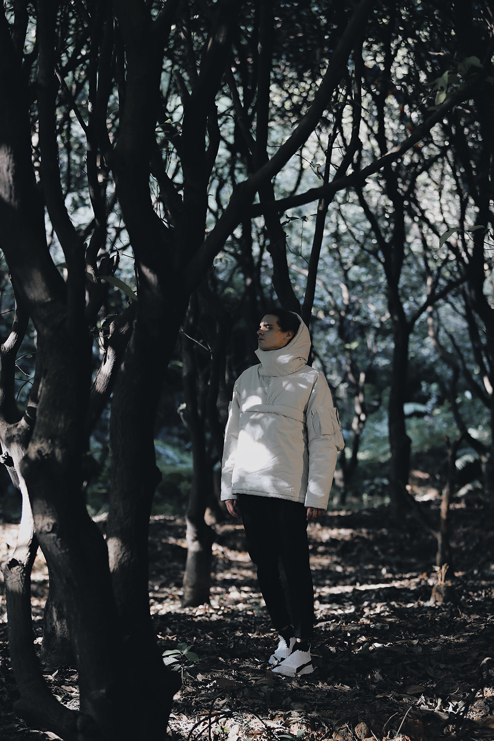 Taichi1