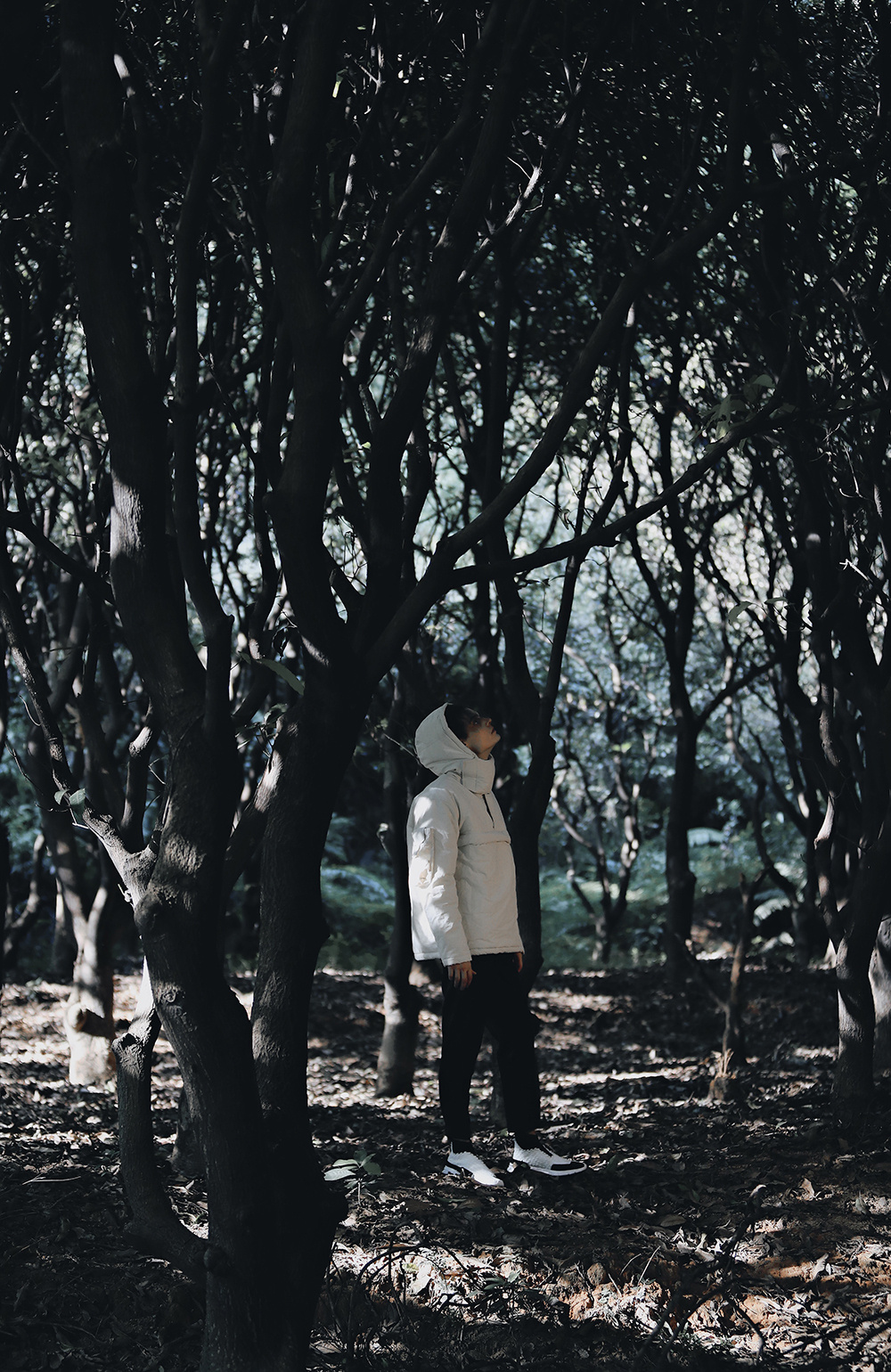 Taichi3