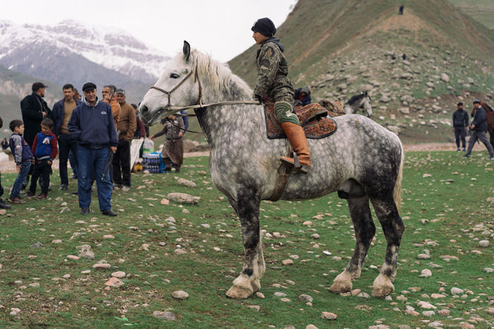 Buzkashi：世界上最古老和最暴力的体育项目