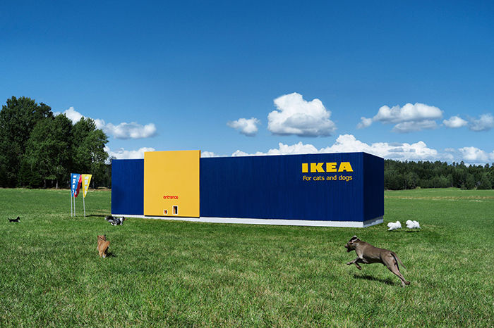 太会做生意了 宜家为宠物设计了哪些好看又实惠的家居产品？