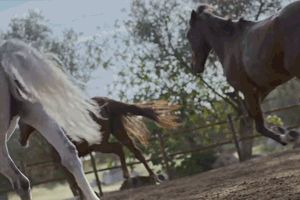 葡萄牙旅游局解读了大自然的心声，我们要重视了