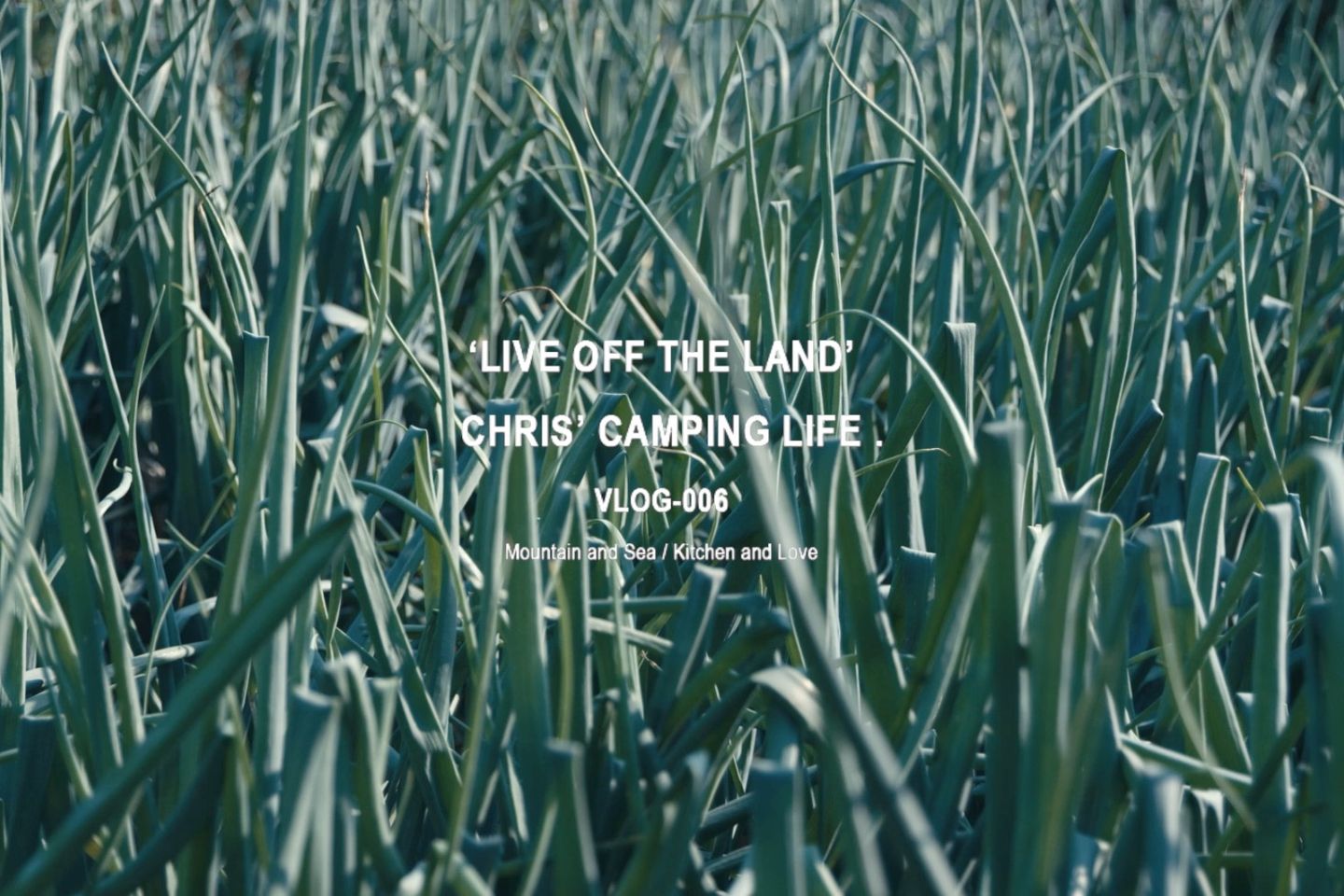 鲜花农场就地取材夏日露营大作战shot on red