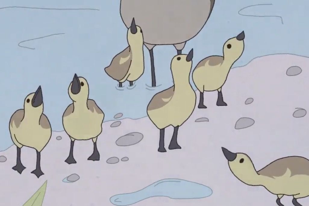 精选视频：撞向萨利机长的大雁，当时在想什么