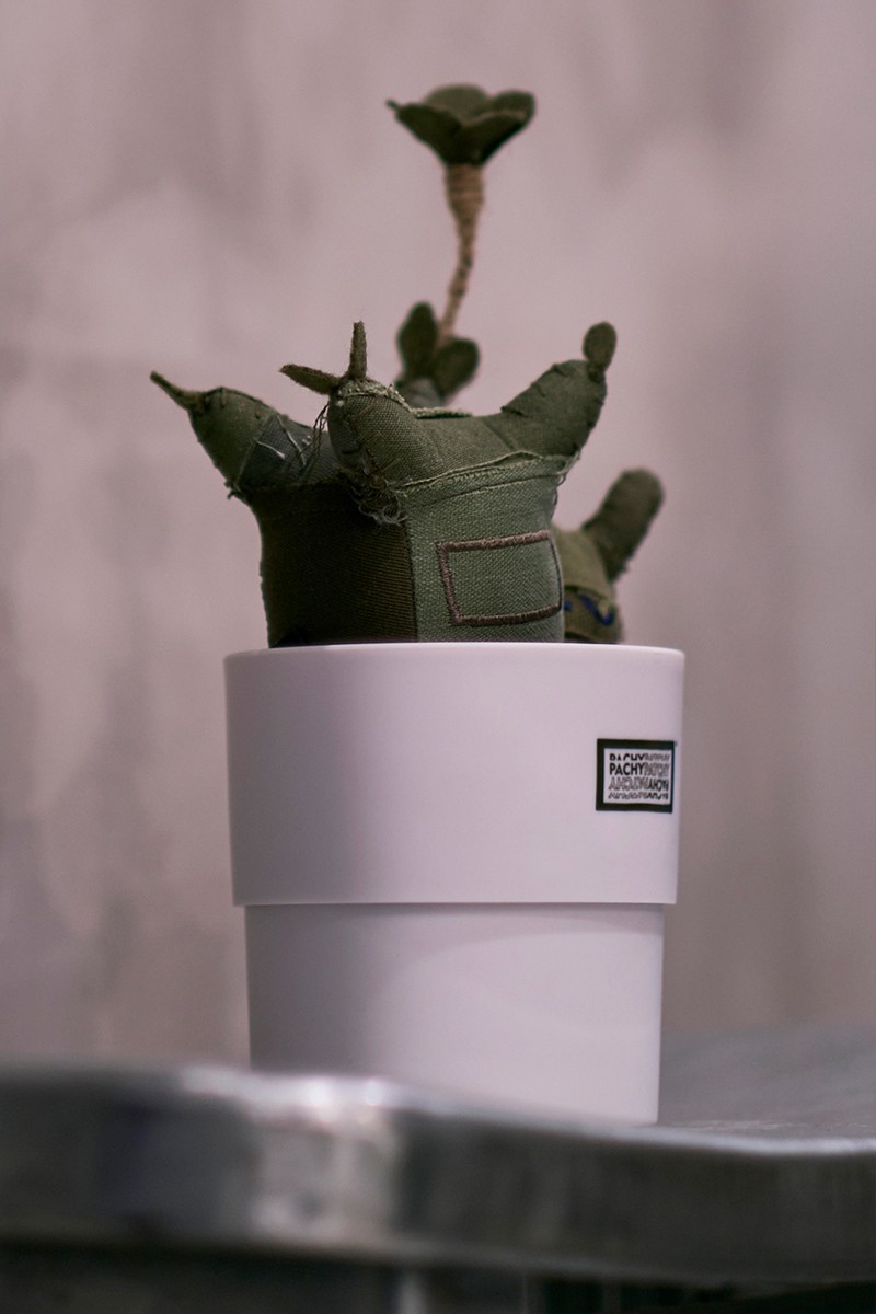 ぬいぐるみ Botanize Pachypatchy Large size 创意家居，K11 MUSEA x BOTANIZE x Pachypatchy 合作系列玩具登场