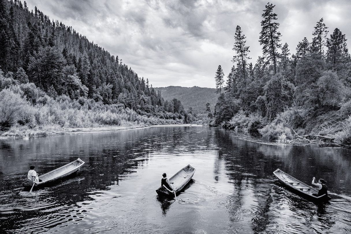 对于 Patagonia 而言，为什么沿海生态系统很重要？