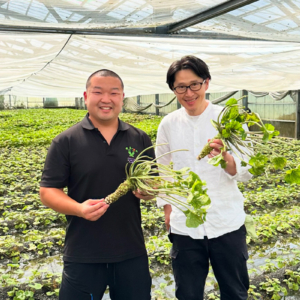 日本农二代望月啓市传承百年山葵种植家业，拓展全球创意料理