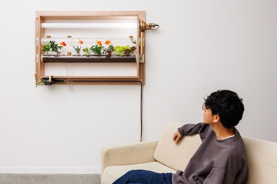 GAKUponi：是和谐的“鱼菜共生”系统，也是精巧的“视觉家具”