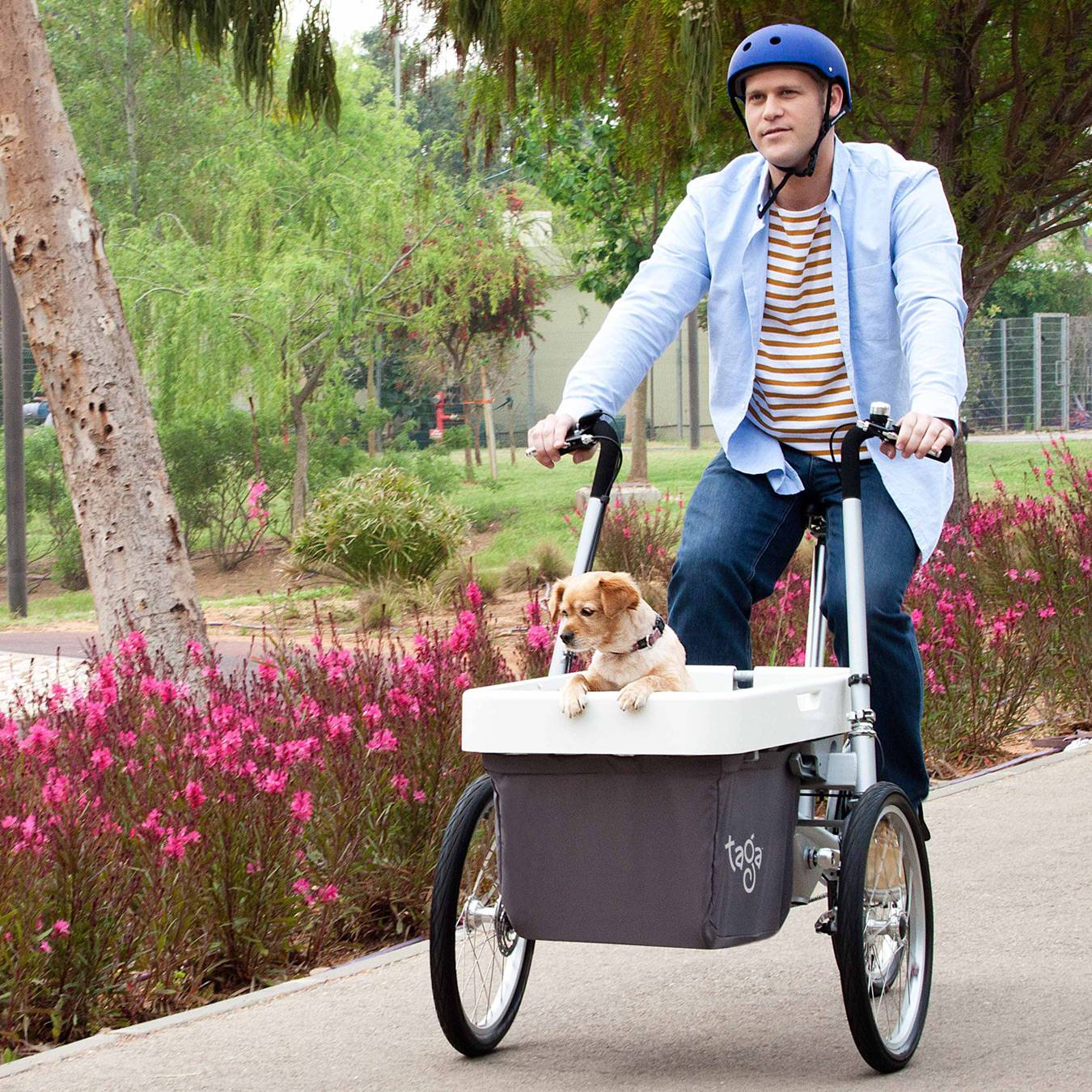 Taga-2-0_affordable-cargo-bike_dog