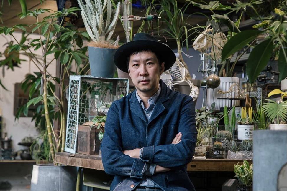 花治：主理人35岁离开广告业 在北京胡同开了家珍奇植物店
