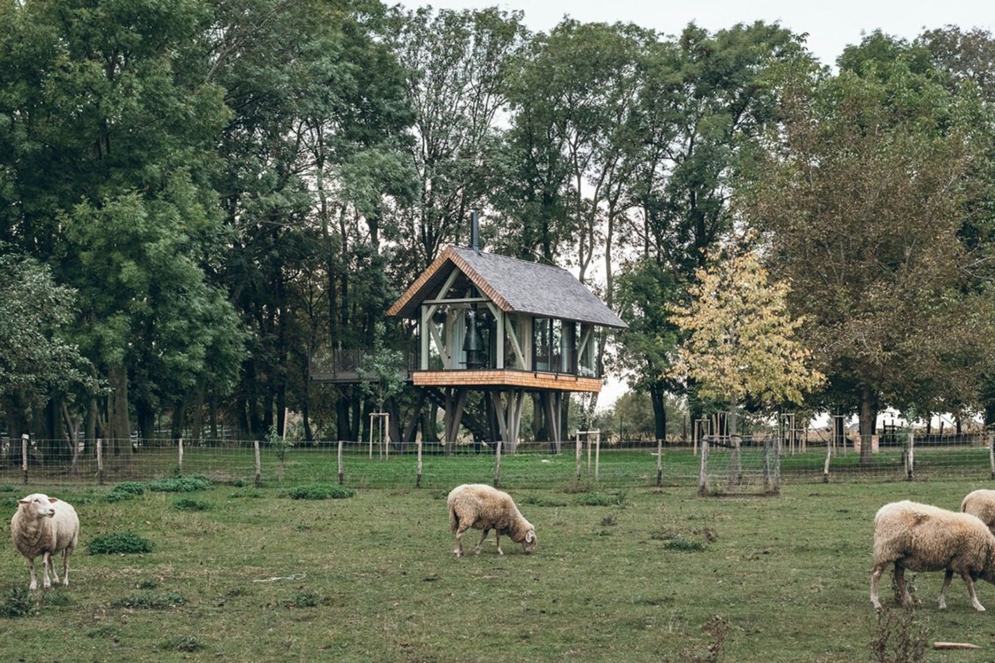 建筑师 Jan Tyrpekl 在奥地利乡村为自己建造的小小“禅屋”