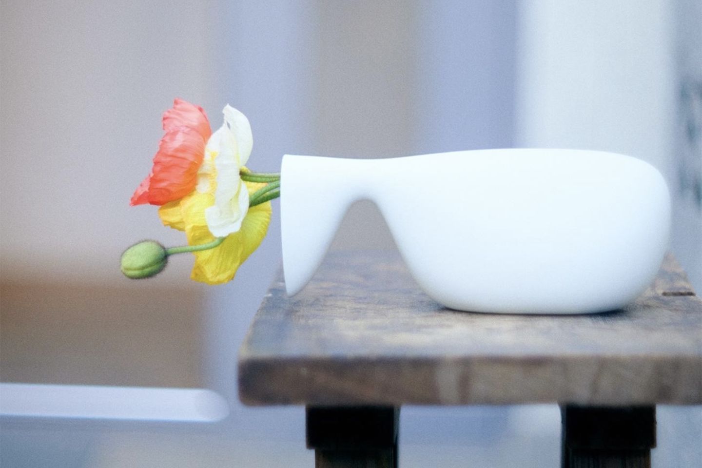 10款独立花瓶推荐，在慢生活中感受色彩绽放之美