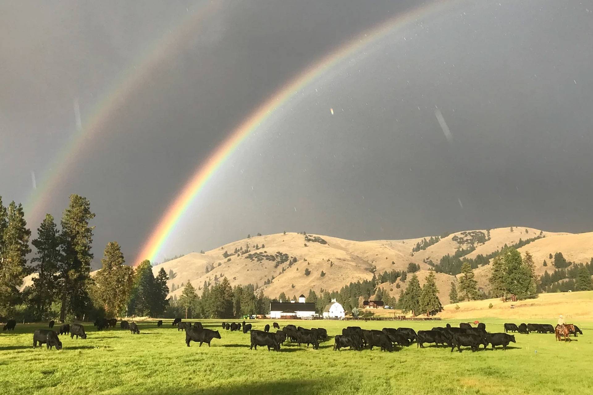 Chief Joseph Ranch：蒙大拿州传奇度假胜地